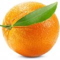 Laranja Brasileira